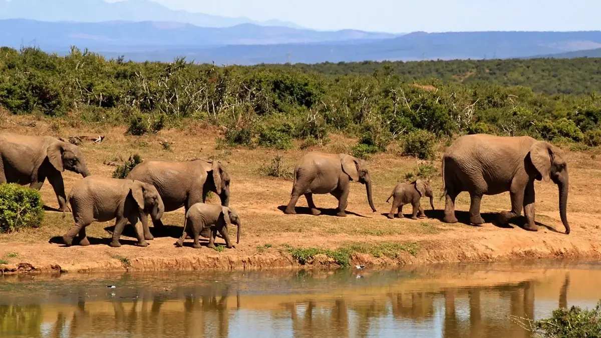 South Sudan safaris and destinations