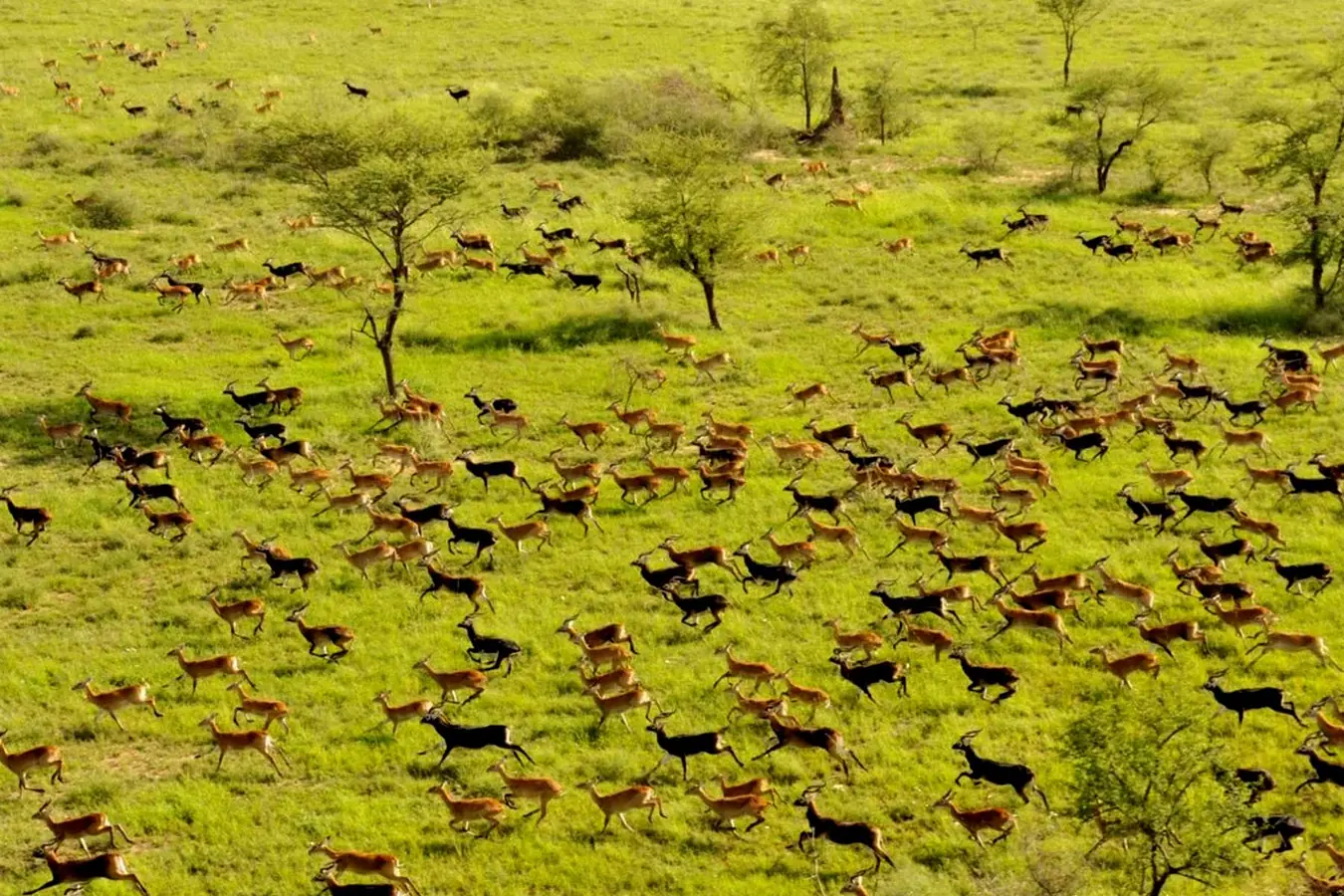 Nimule National Park in South Sudan with Intare Safaris