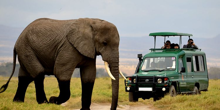Game-Drives-in-Akagera-National-Parks