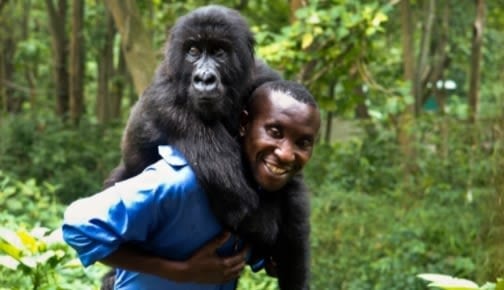 Rwanda Gorillas and Culture tour