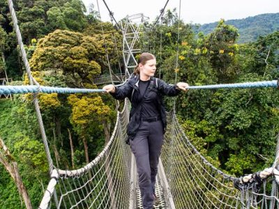 Activities in Nyungwe forest
