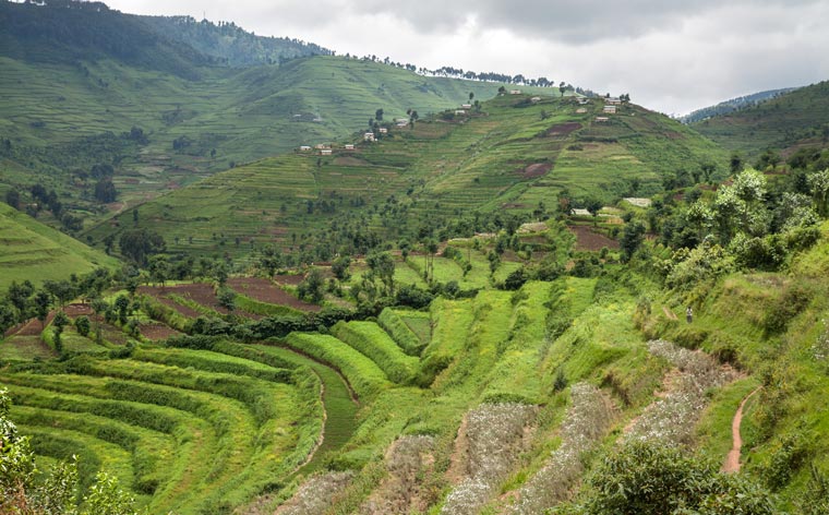 Travel tips to Rwanda