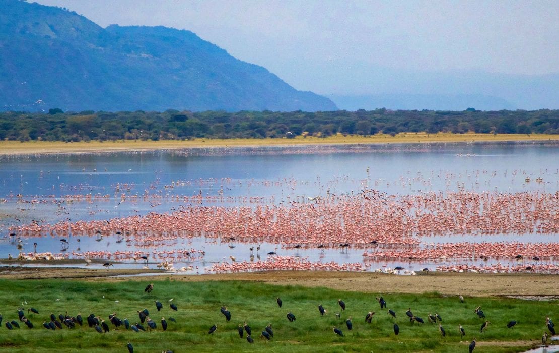lake-manyara national park