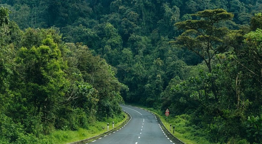 facts about Nyungwe Forest