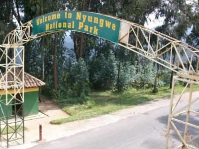 Nyungwe park entrance fees