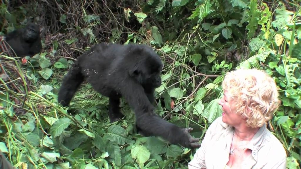 4 Days Rwanda Gorilla Trek and Lake Kivu Tour